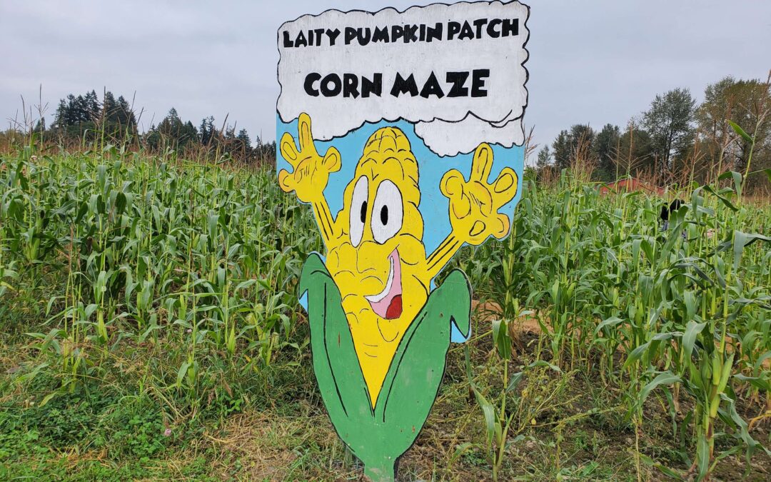 【遊記】玉米迷宮 & 南瓜田 Laity Pumpkin Patch – South